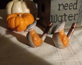 Bird Whistle, Water Bird Whistle, Traditional Toy