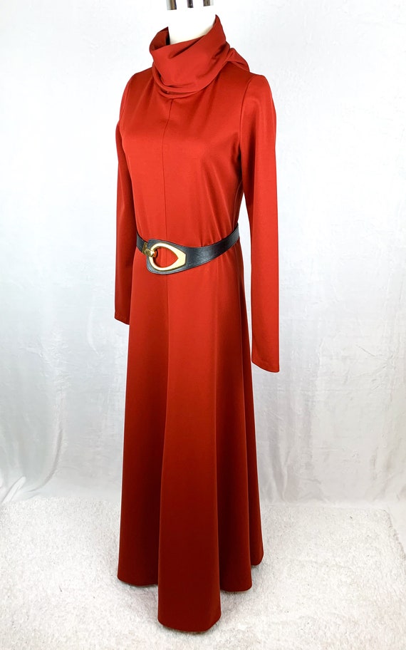 1970s Cinnamon Turtleneck Maxi Dress Medium, Autu… - image 2