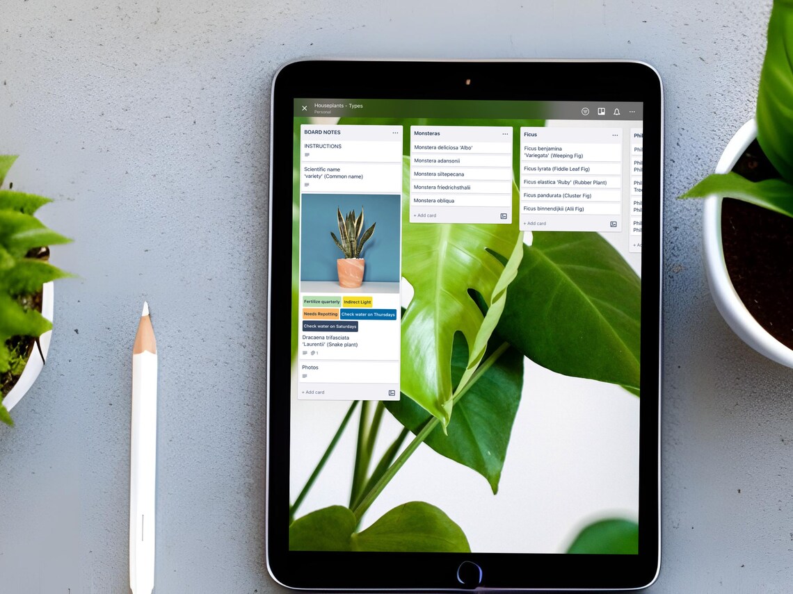 Tree Inventory Board Plant Inventory System, Trello Board, Digital Download, Plant Tracker ...