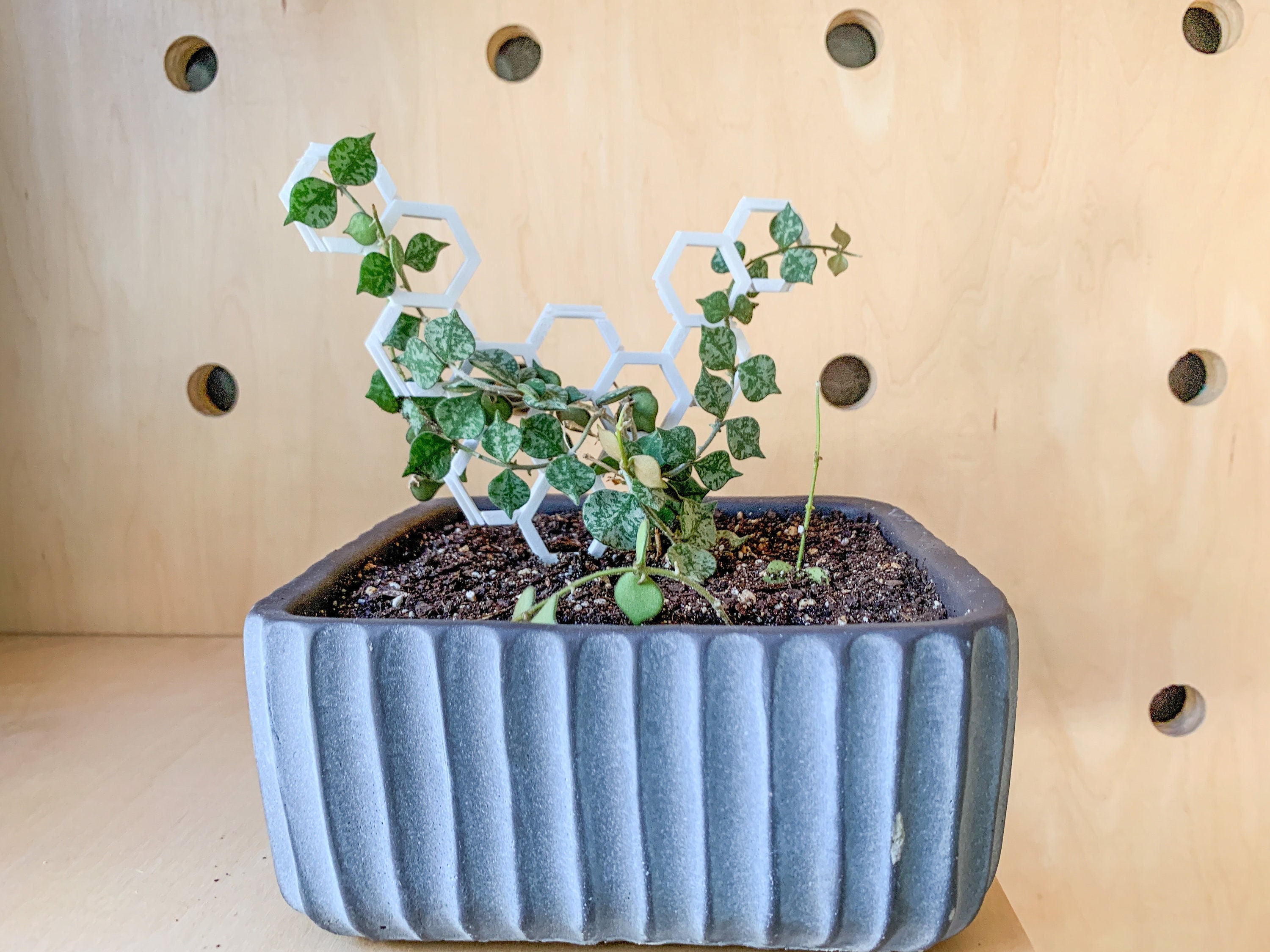 3d printed plant trellis