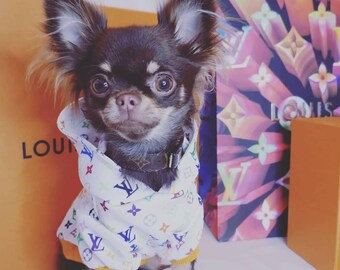 louis vuitton cat clothes