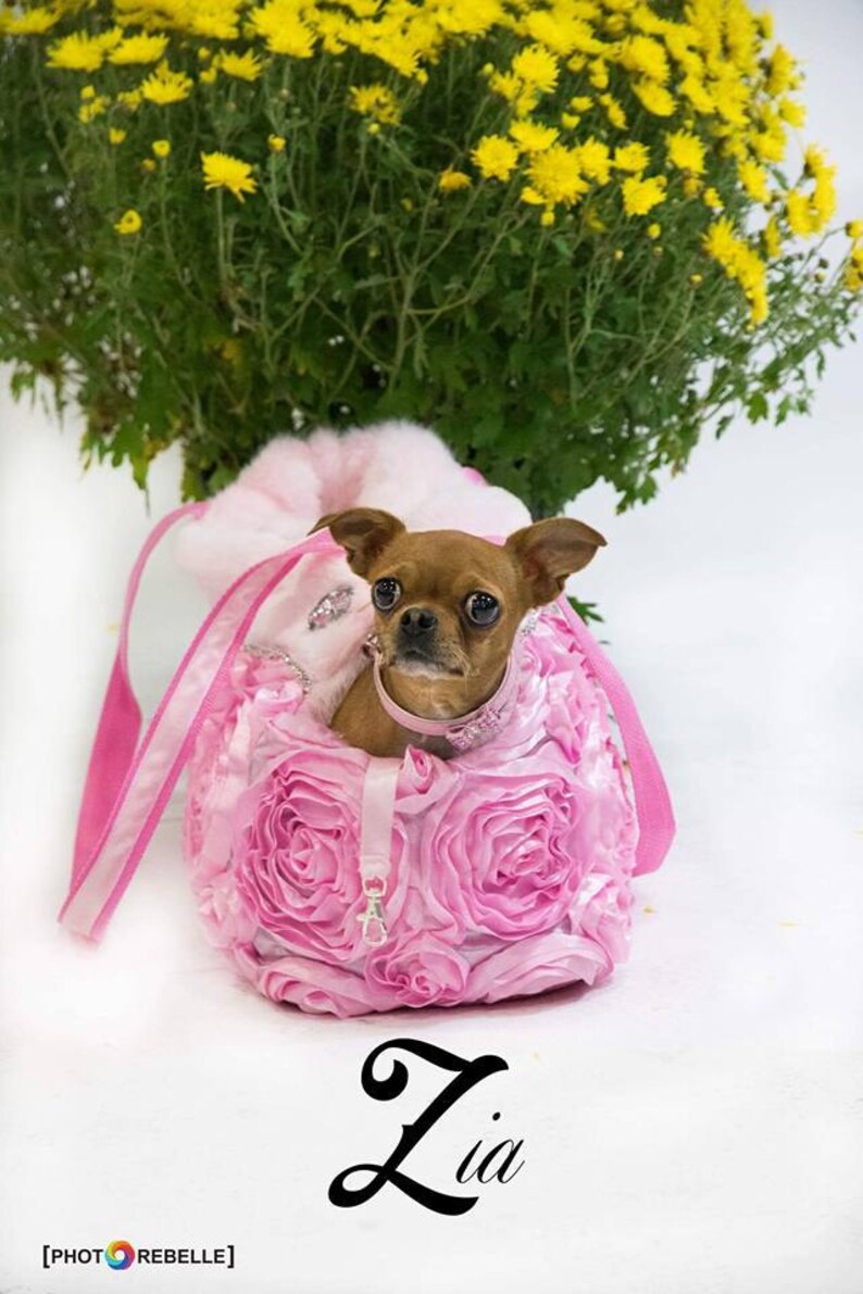 Dog Carrier Transporter Tote Bag Pet Carrier Traveling Bag Etsy