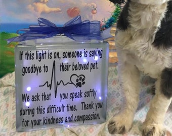 If this light is on, someone is saying goodbye euthanasia glass lightbox Rainbow Bridge Pet Loss Cat Dog Grief death of a pet veterinarian