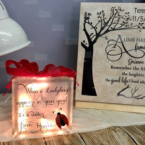 When a ladybug appears in your yard it's a visitor from Heaven Glass block, memorial home decor memory blocks birthday anniversary image 5