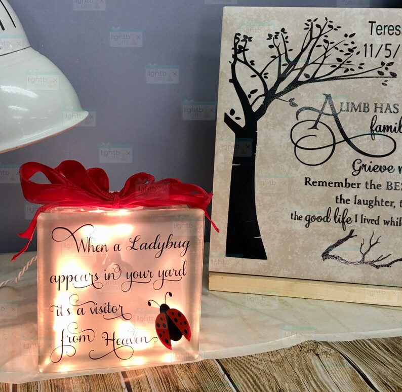 When a ladybug appears in your yard it's a visitor from Heaven Glass block, memorial home decor memory blocks birthday anniversary image 5