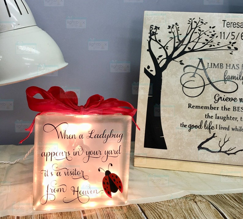 When a ladybug appears in your yard it's a visitor from Heaven Glass block, memorial home decor memory blocks birthday anniversary image 6