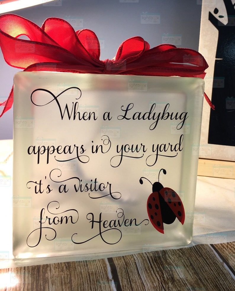 When a ladybug appears in your yard it's a visitor from Heaven Glass block, memorial home decor memory blocks birthday anniversary image 3