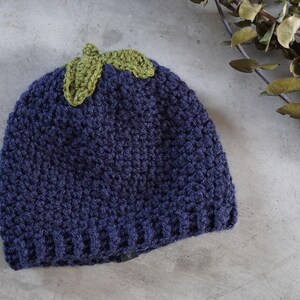 May include: A dark blue crocheted beanie with a green crocheted leaf design on top.