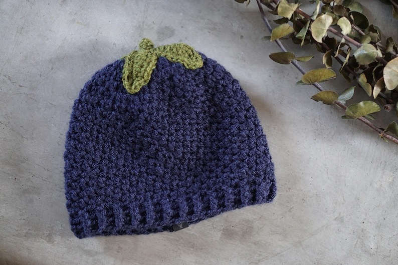 May include: A dark blue crocheted beanie with a green crocheted leaf design on top.