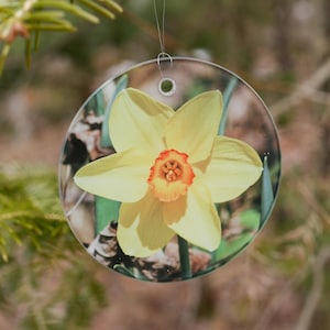 Narcis fotoglas 3,5&quot; ronde zonnevanger met geschenkdoos en zuignap