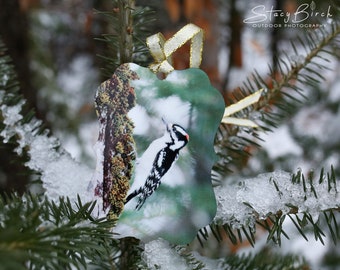 Downy Woodpecker Aluminum Benelux Ornament w/ Gift Box (Double-Sided)
