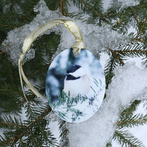 Black-Capped Chickadee Aluminum Oval Ornament w/ Gift Box (Double-Sided)