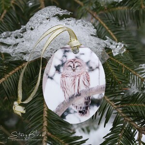 Barred Owl Aluminum Oval Ornament w/ Gift Box (Double-Sided)