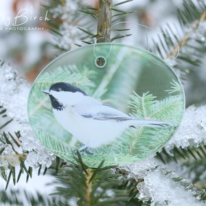 Black-Capped Chickadee Photo Glass Oval Suncatcher w/ Gift Box