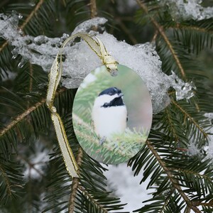 Black-Capped Chickadee Aluminum Oval Ornament w/ Gift Box (Double-Sided)