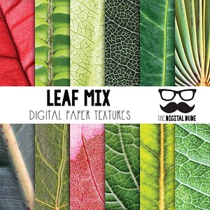 Puede incluir: Un paquete de papel digital con 10 texturas de hojas diferentes. Las texturas son una mezcla de hojas verdes, rojas y amarillas. El texto "LEAF MIX" y "DIGITAL PAPER TEXTURES" se muestra en la imagen. La imagen también incluye un logotipo con el texto "THE DIGITAL DUDE".