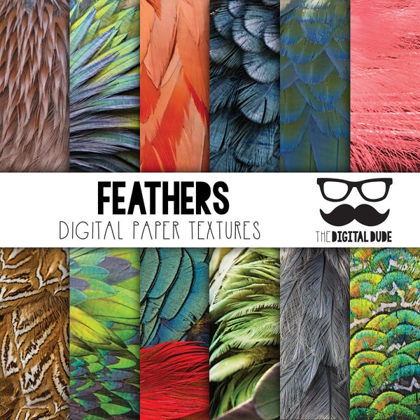 Feathers, Premium Digital Paper, Printable Scrapbook Paper, Feathers Texture, Exotic Feathers, Instant Download