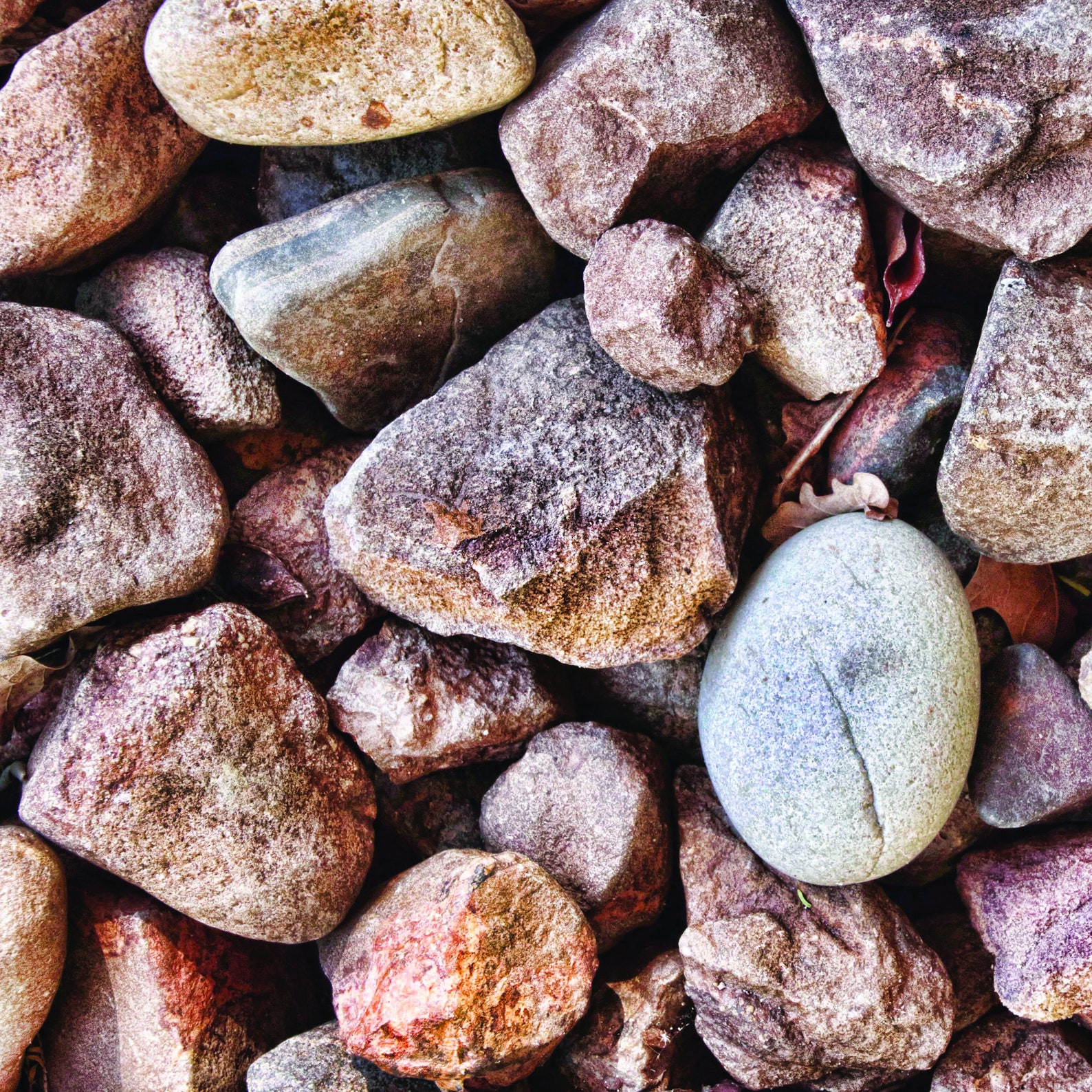 Premium Digital Paper Set Pebbles Scrapbook Paper Pebbles Etsy