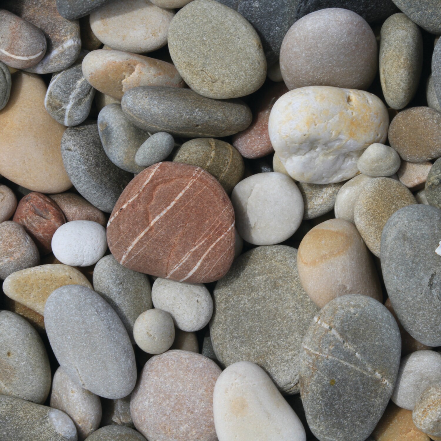 Pebbles Premium Digital Paper, Printable Scrapbook Paper Set, Pebble ...