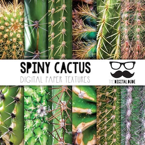 Cactus spinoso, carta digitale premium, set di carta scrapbook stampabile, cactus texture, download istantaneo