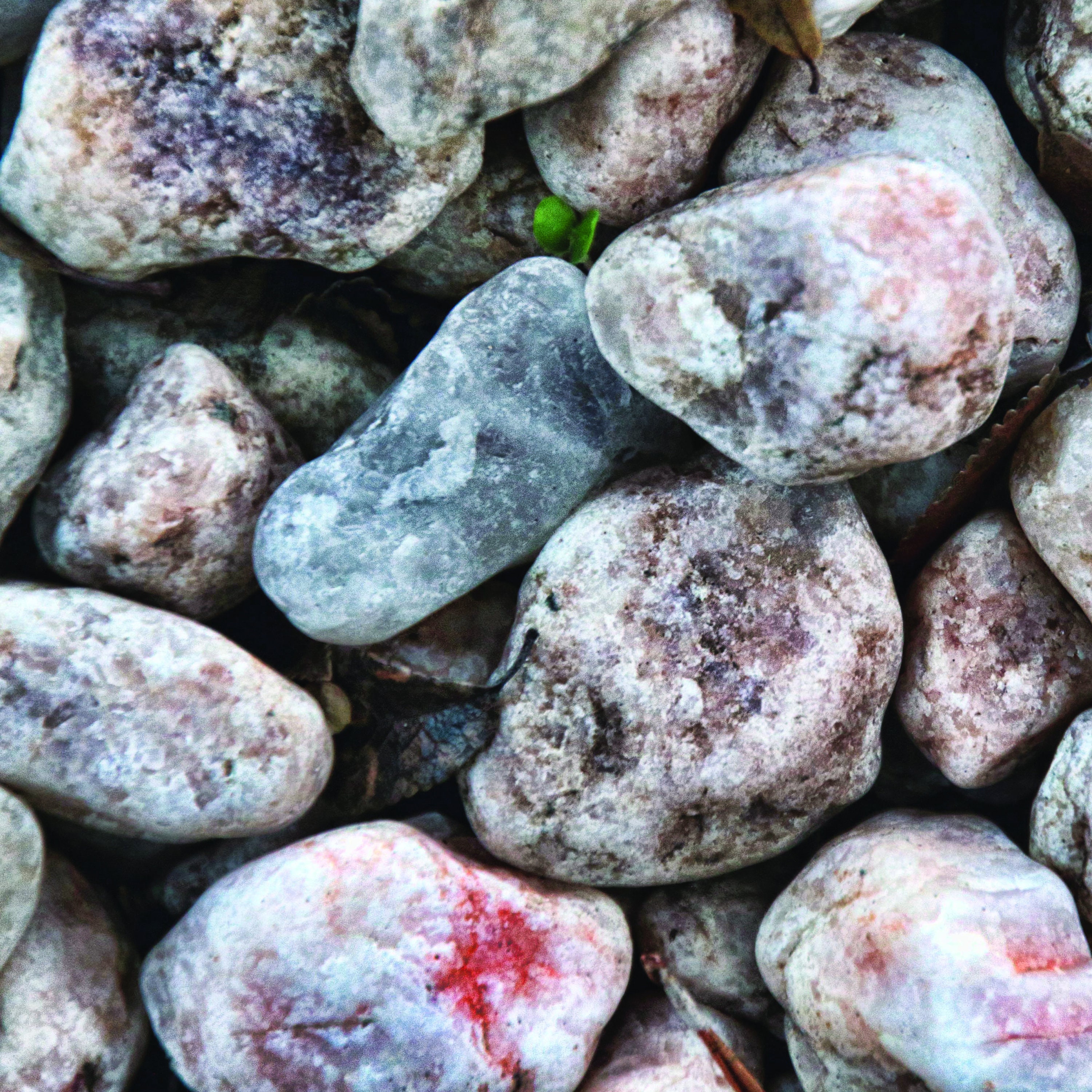 Premium Digital Paper Set Pebbles Scrapbook Paper Pebbles Etsy