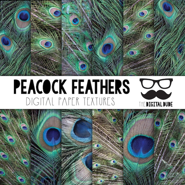 Peacock Feather Printable - Etsy