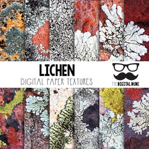 May include: A digital paper pack featuring 10 different textures of lichen in various colours, including green, yellow, white, and red. The textures are perfect for creating backgrounds, patterns, and other designs.