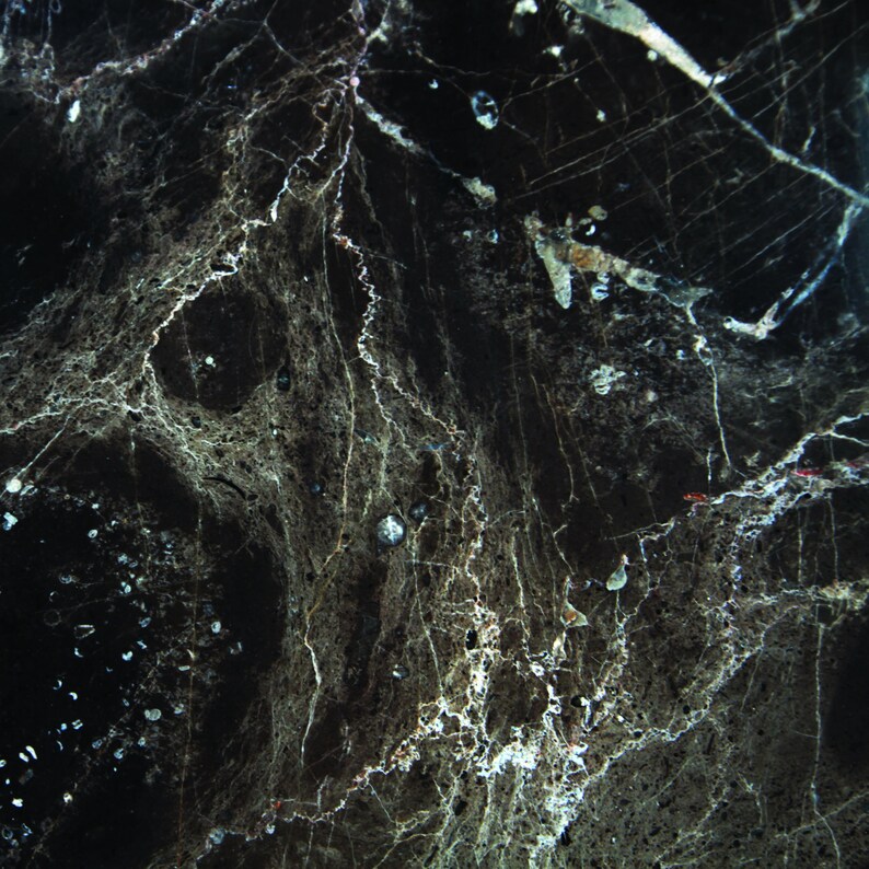 May include: Black marble with white and grey veining. The marble has a dark, almost black background with a network of white and grey veins running through it.