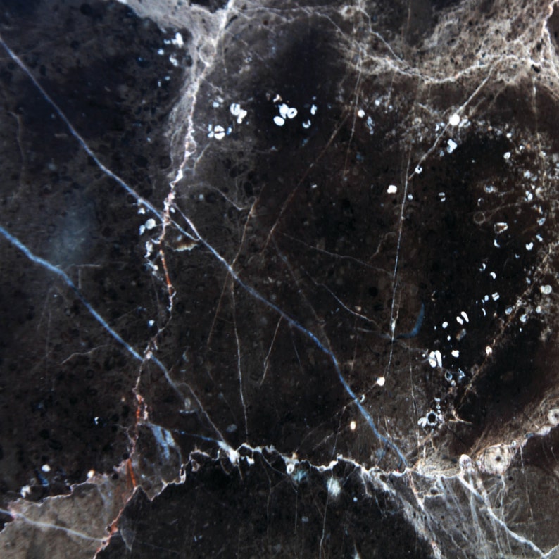 May include: Black marble with white veins and speckles. The marble has a dark, almost black, background with a network of white veins and small white speckles throughout.