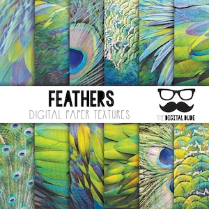May include: A digital paper texture collection featuring close-up images of peacock feathers in shades of green, blue, and yellow. The text "FEATHERS DIGITAL PAPER TEXTURES" is displayed in black. A logo with glasses and a mustache is also visible.