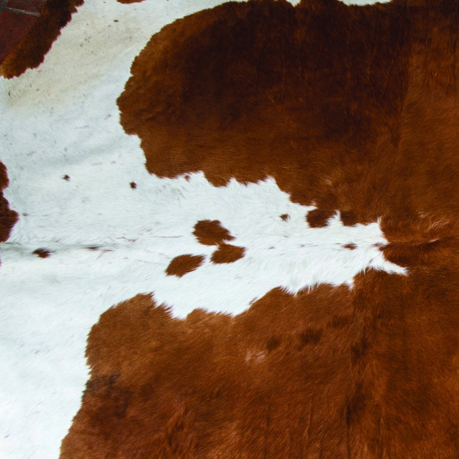 Premium Digital Paper Set Tan and White Cowhide Digital Etsy