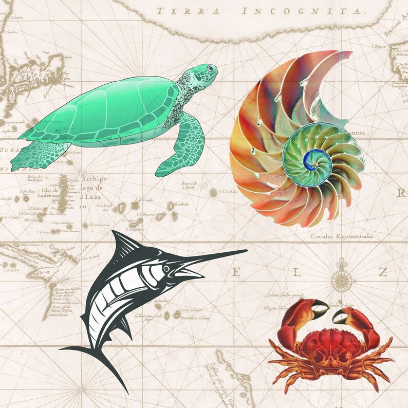 Nautical Maps Digital Paper: Vintage Sea Charts, Scrapbook Paper ...