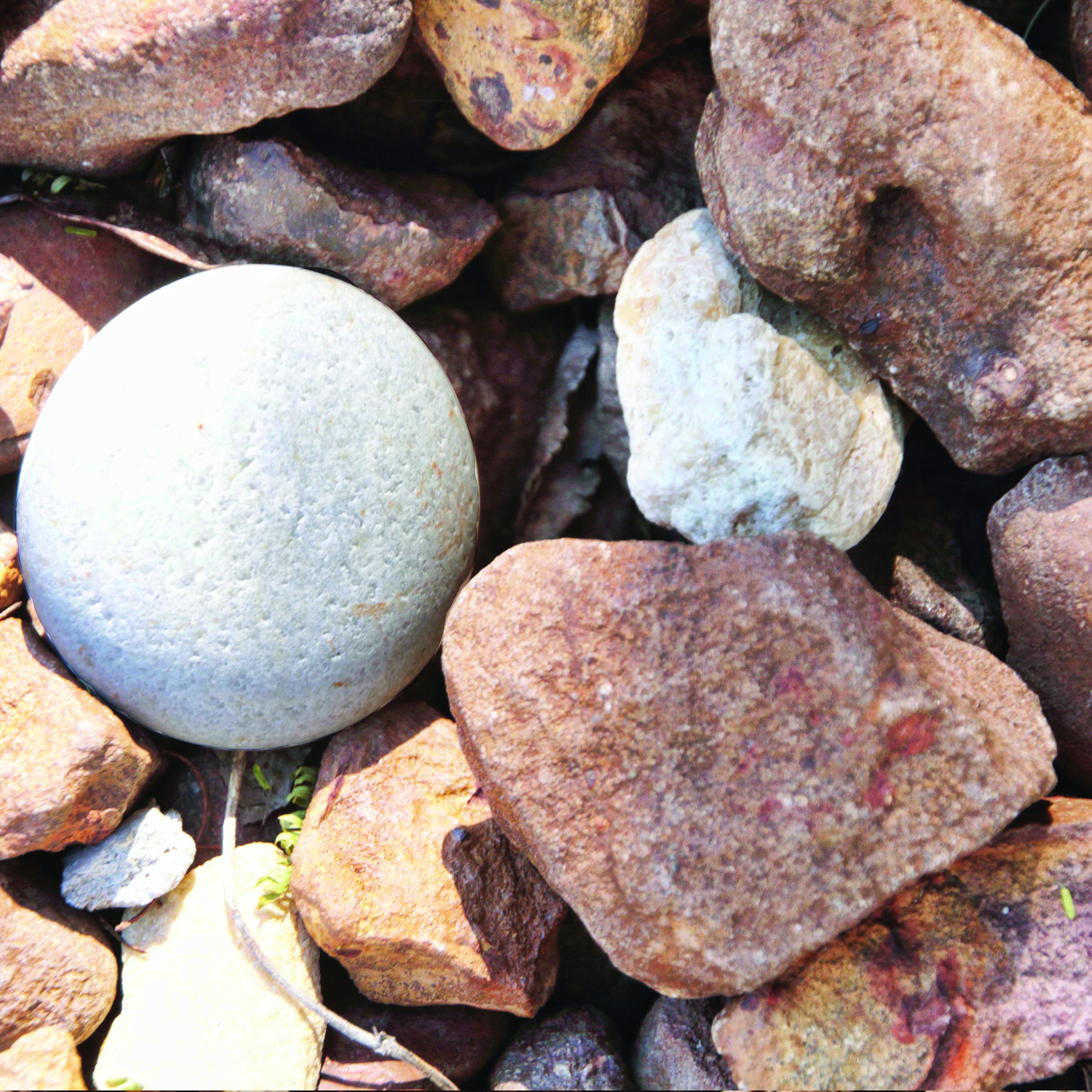 Premium Digital Paper Set Pebbles Scrapbook Paper Pebbles Etsy