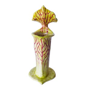 Pitcher Plant Ceramic Ornament: Hand Built, Sarracenia Sculpture