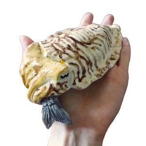 May include: A ceramic cuttlefish sculpture, held in a hand, is painted in cream and brown. The sculpture has detailed markings and a grey tail. The cuttlefish is a decorative item.