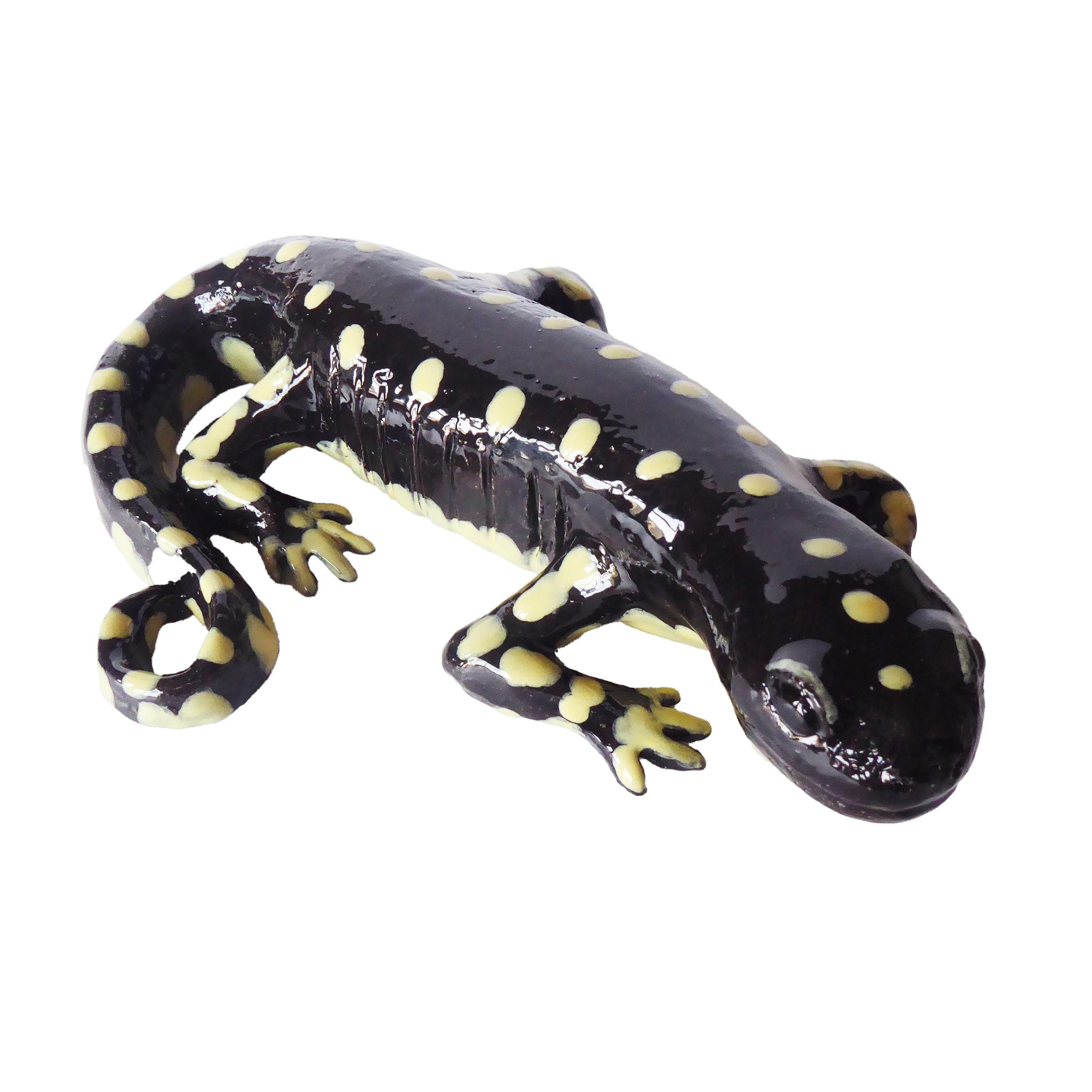 California Tiger Salamander Ceramic Sculpture - Hand Built - Etsy