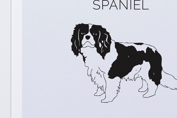 Cavalier King Charles Spaniel Art Print