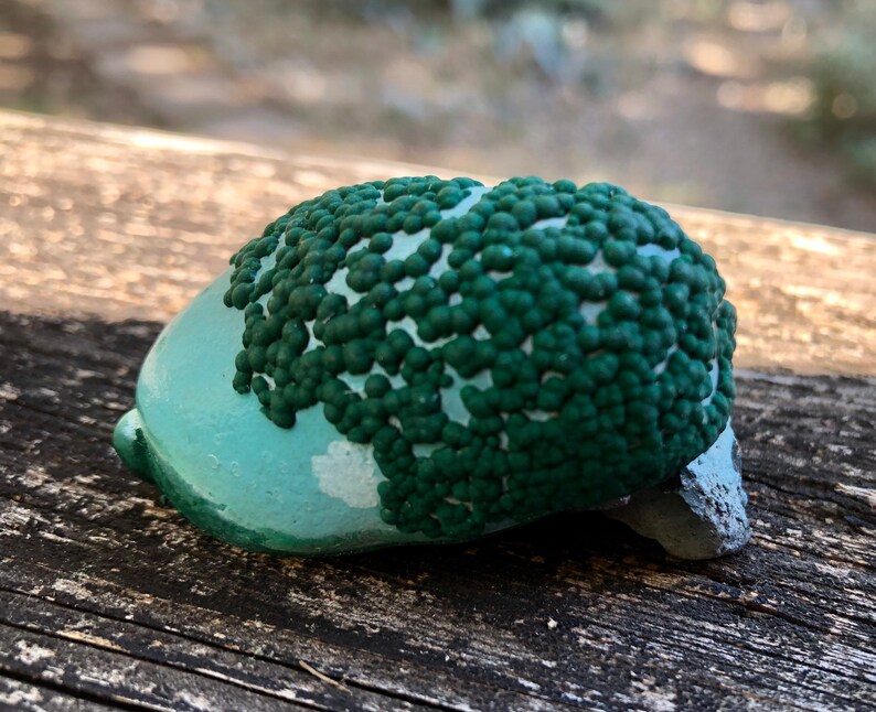 Malachite over Chrysocolla from Republic of the Congo