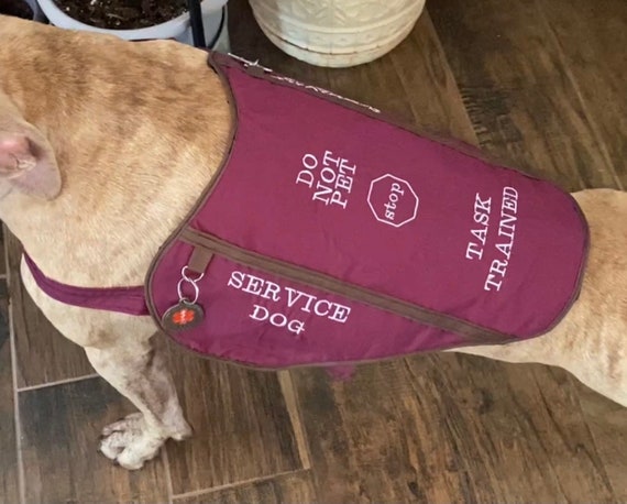 personalized therapy dog vest
