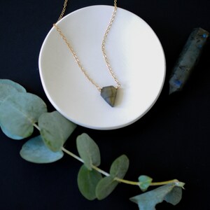 May include: A gold chain necklace with a labradorite pendant rests on a white, circular dish. A labradorite crystal is next to the dish. Eucalyptus leaves are in the foreground against a black background.
