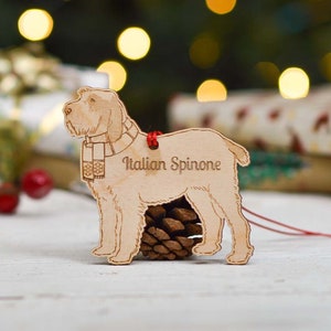 Spinone Italiano Personalizado - Decoração de Cachorro de Cauda Curta - Detalhado