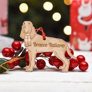 Könnte beinhalten: Ein hölzerner Weihnachtsbaumschmuck in Form eines Bracco Italiano Hundes mit einem Schal. Der Schmuck ist braun und weiß und hat den Text "Bracco Italiano" eingraviert. Der Schmuck ist von roten Beeren umgeben.