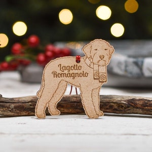 Decoração personalizada para cães Lagotto Romagnolo - detalhada
