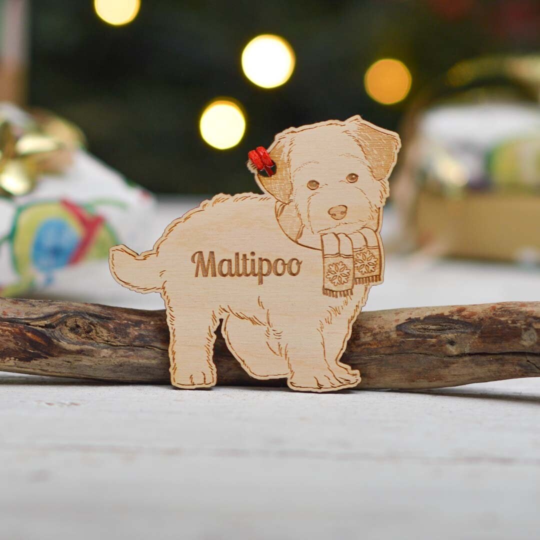 Personalised Maltipoo 2 Dog Decoration - Detailed