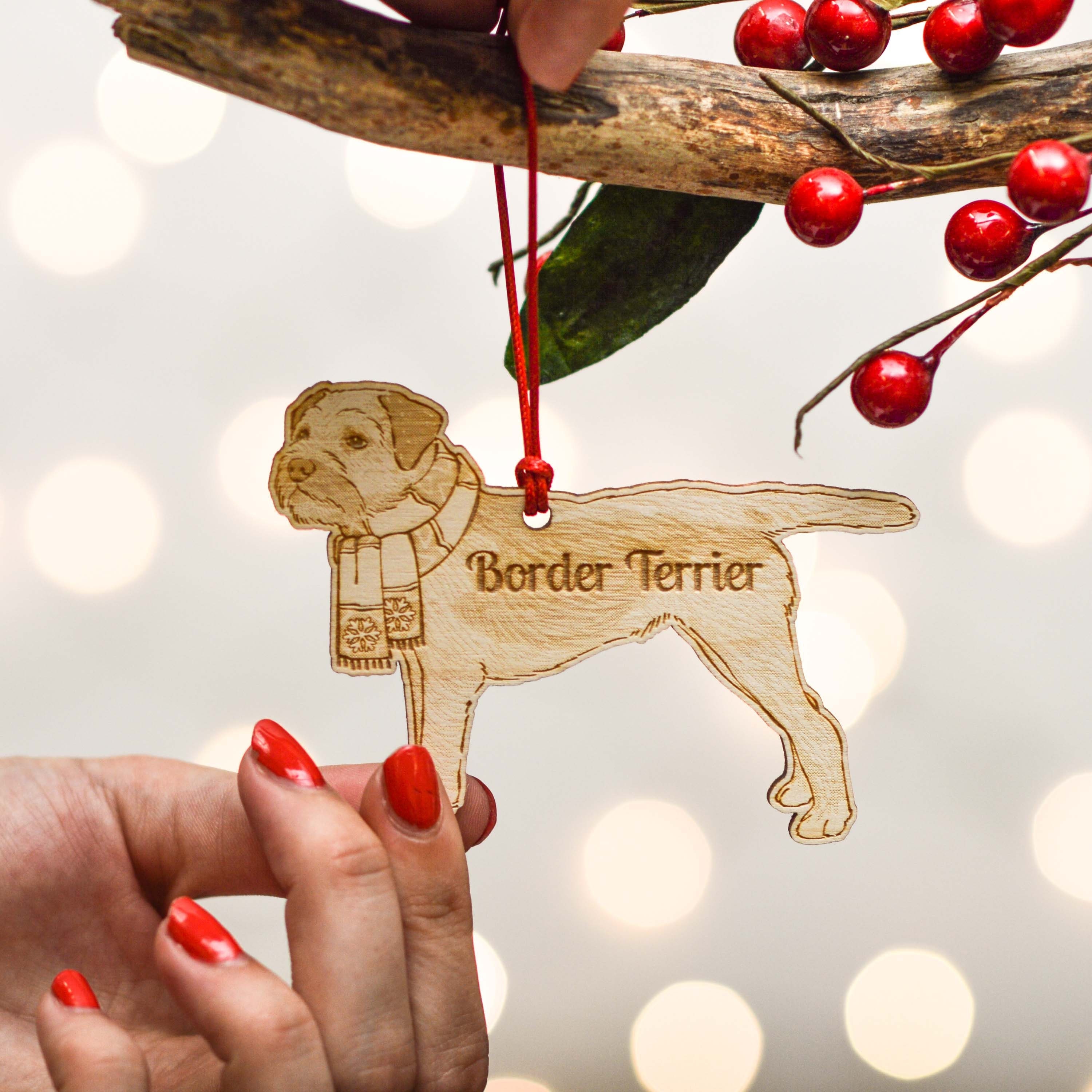 Lakeland Terrier | Rehoming Rescue Dog | Dogs Trust