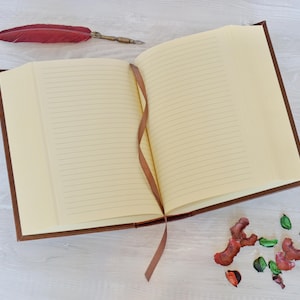 May include: An open journal with a dark brown cover and cream-colored lined pages. A thin brown ribbon bookmark rests between the pages. A red feather quill pen lies near the top left corner, and small dried flower petals are scattered near the bottom.
