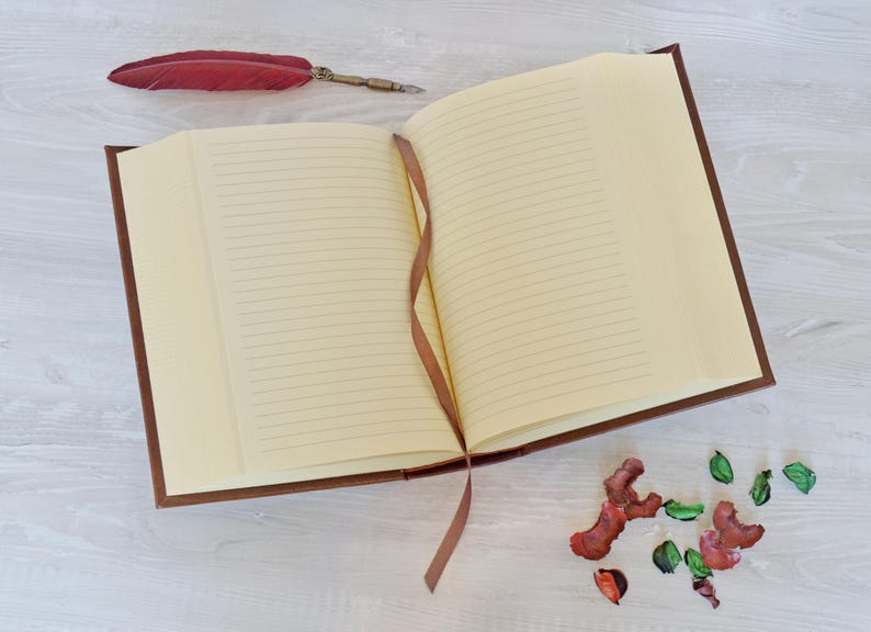 May include: An open journal with a dark brown cover and cream-colored lined pages. A thin brown ribbon bookmark rests between the pages. A red feather quill pen lies near the top left corner, and small dried flower petals are scattered near the bottom.