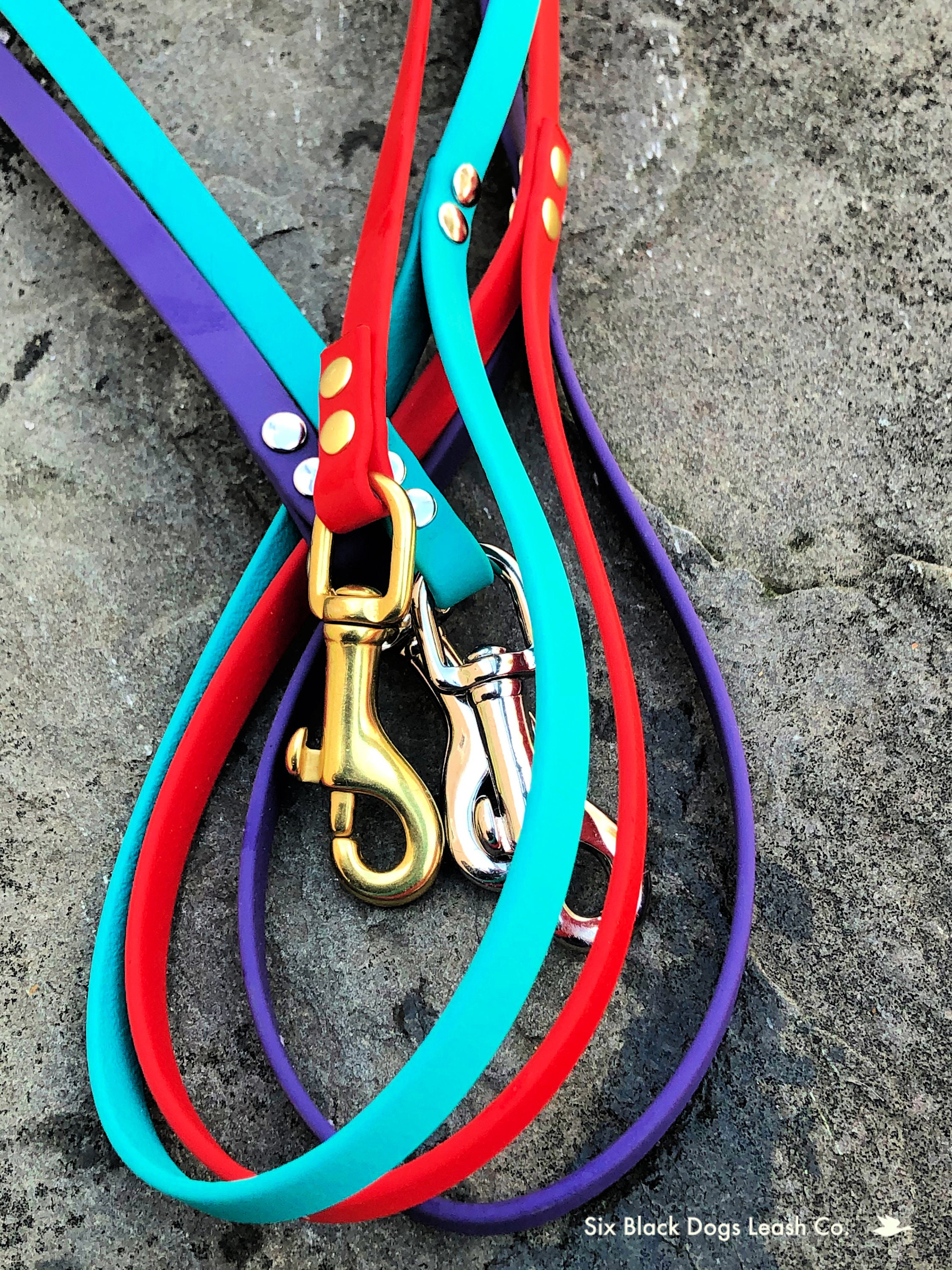 BioThane 3/8 Standard Leash with Snap Bolt Free Etsy España
