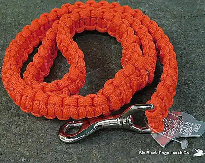 Heavy 2 Foot Snap Bolt Leash