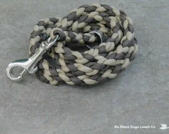4 Foot Snap Bolt Leash